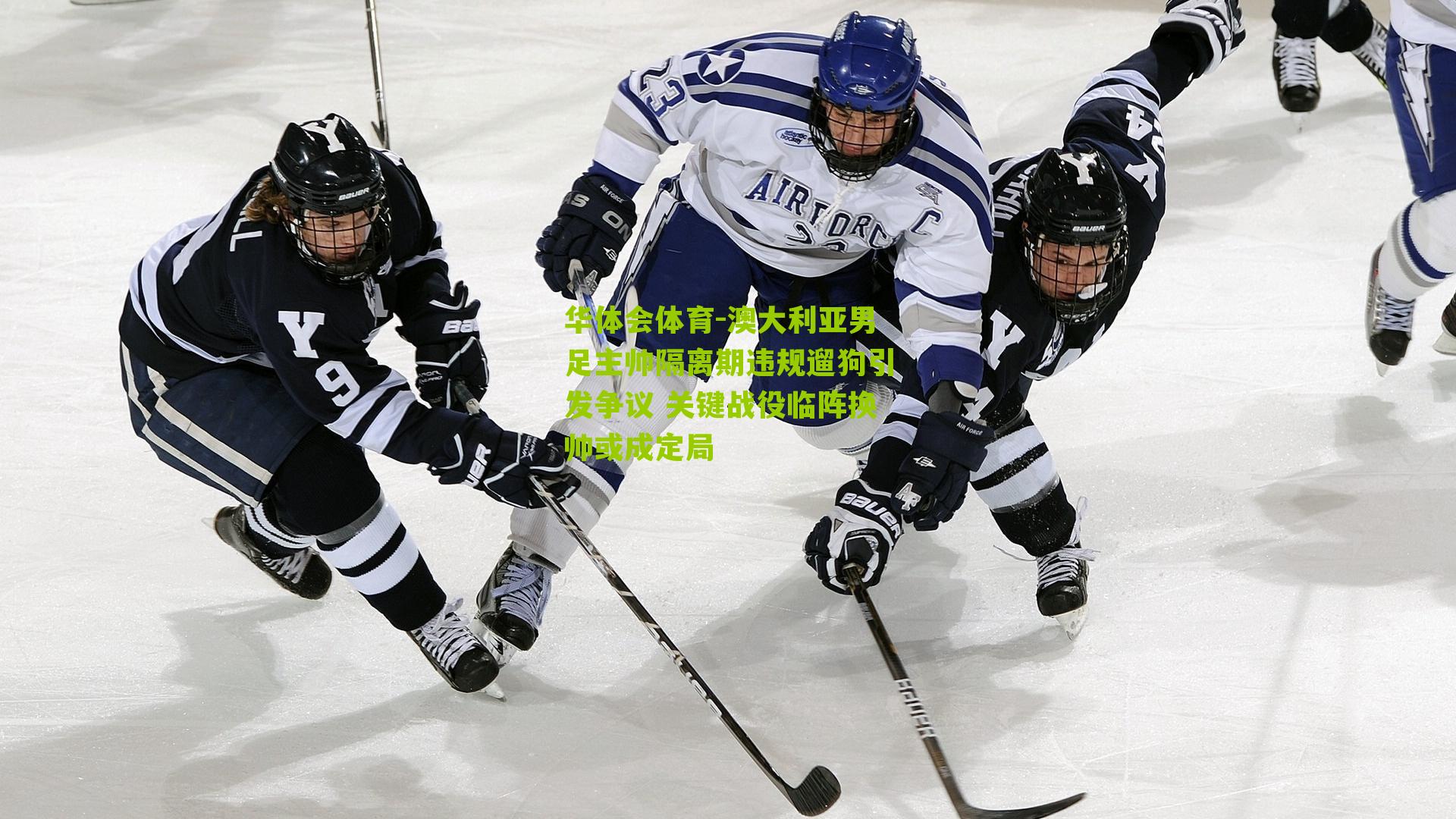 澳大利亚男足主帅隔离期违规遛狗引发争议 关键战役临阵换帅或成定局