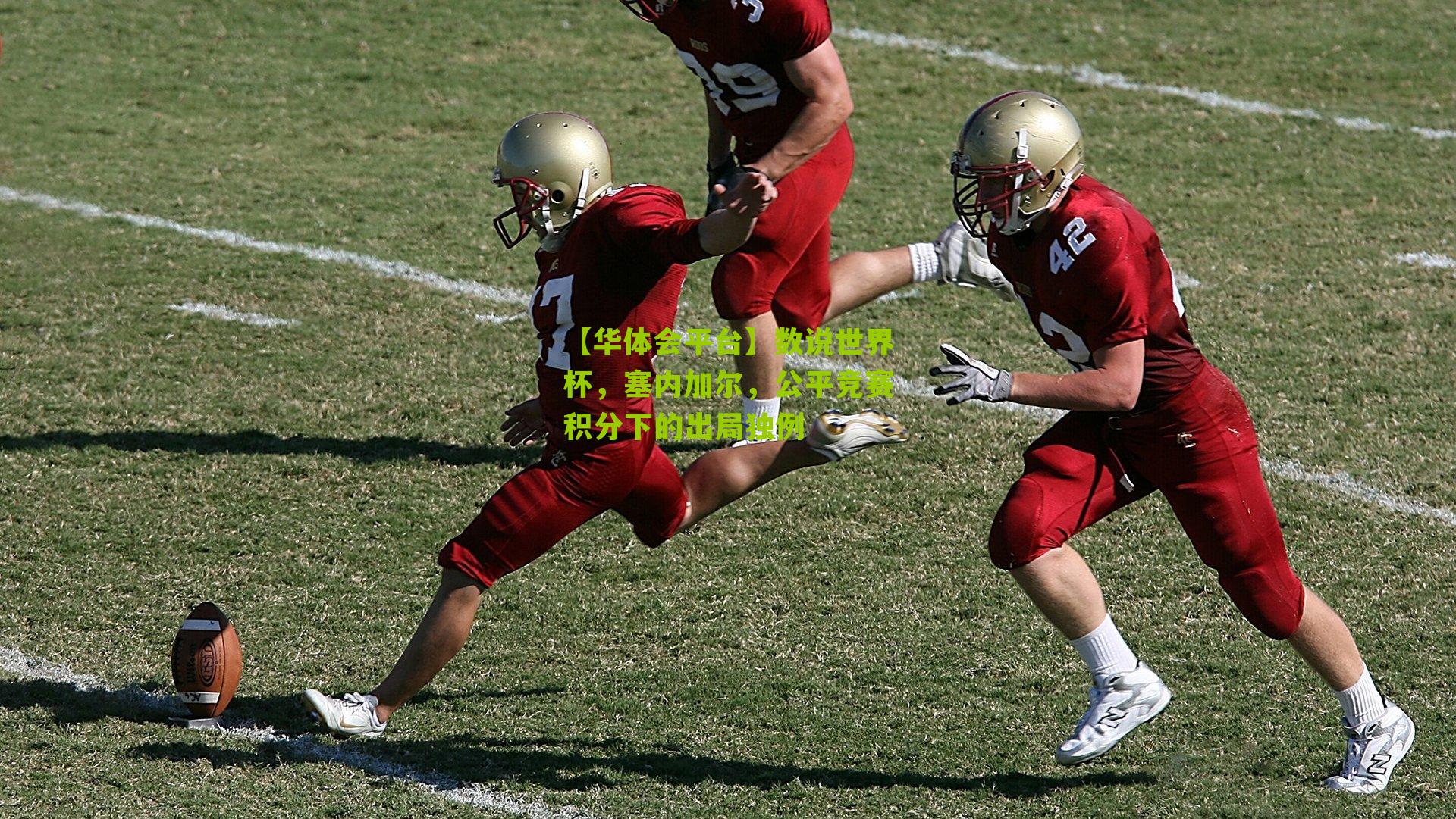 数说世界杯，塞内加尔，公平竞赛积分下的出局独例