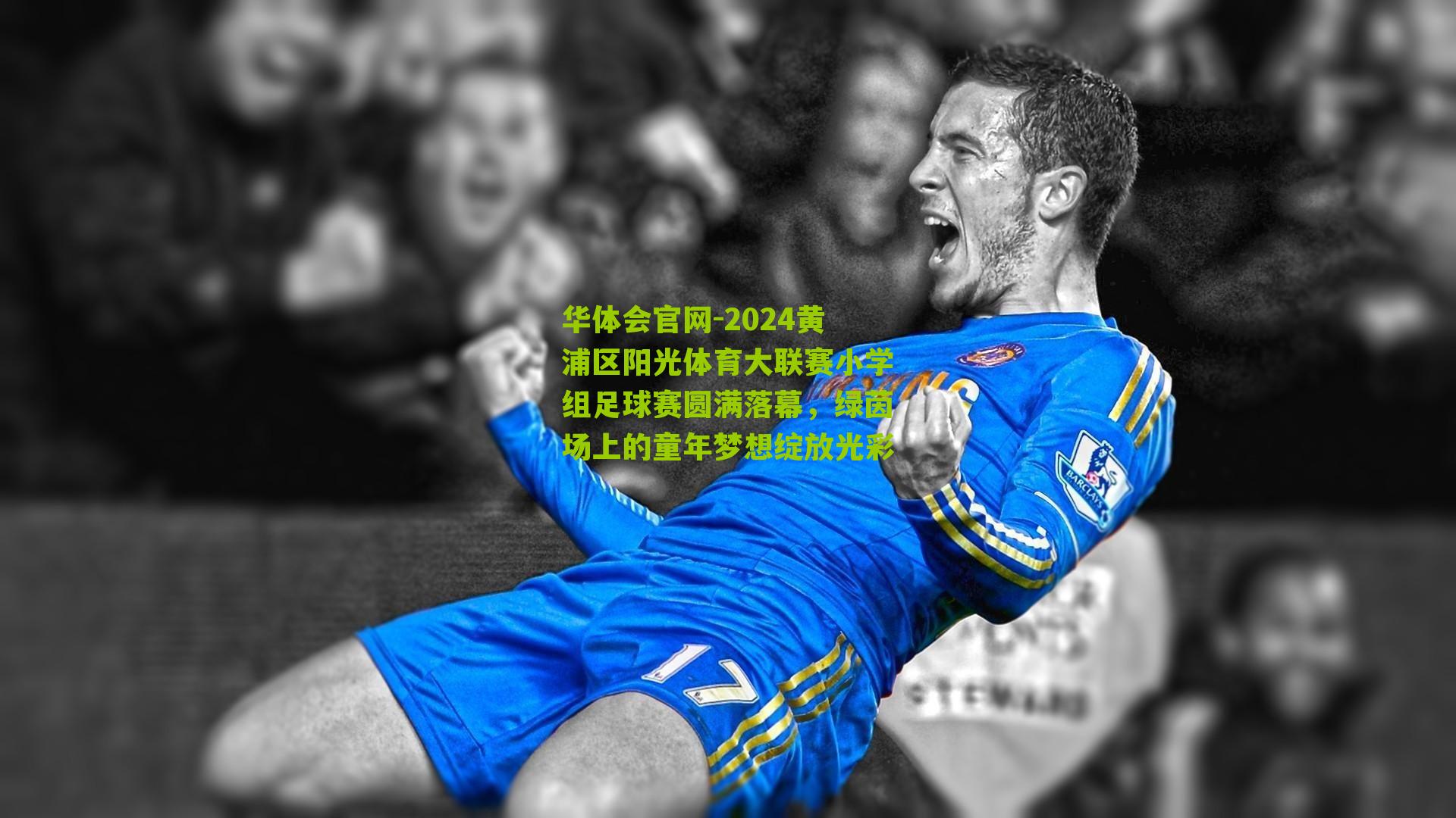 华体会官网-2024黄浦区阳光体育大联赛小学组足球赛圆满落幕，绿茵场上的童年梦想绽放光彩